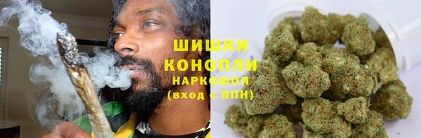 дурь Богданович