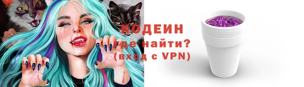 дурь Богданович