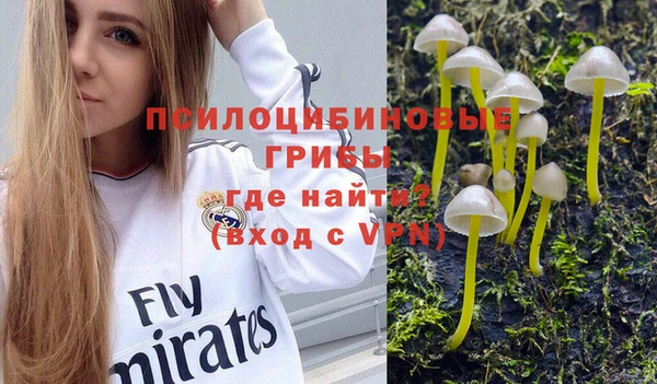 герыч Богородск