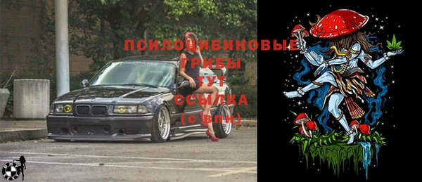 дурь Богданович