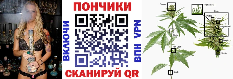 Шишки марихуана ГИДРОПОН  Купить где  Кулебаки 